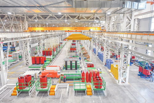 海口 向綠而生 向美而行 綠色低碳繪就椰城新畫(huà)卷