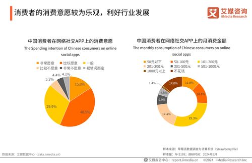 2024-2025年中國(guó)婚戀社交服務(wù)市場(chǎng)研究報(bào)告